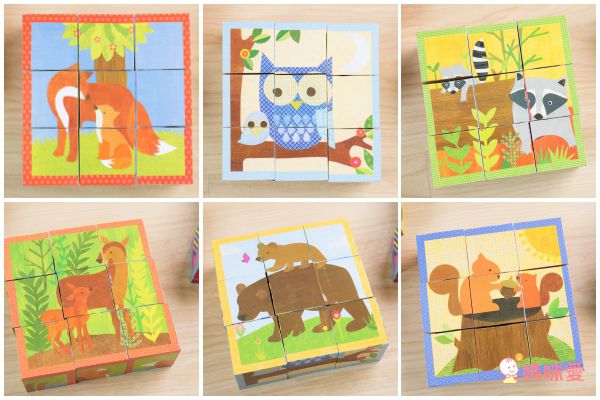 美國 mudpuppy - 方塊拼圖-小小動物-9塊