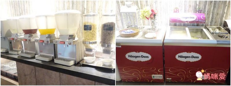 台東池上日暉國際渡假村｜頂級 Airstream 露營車