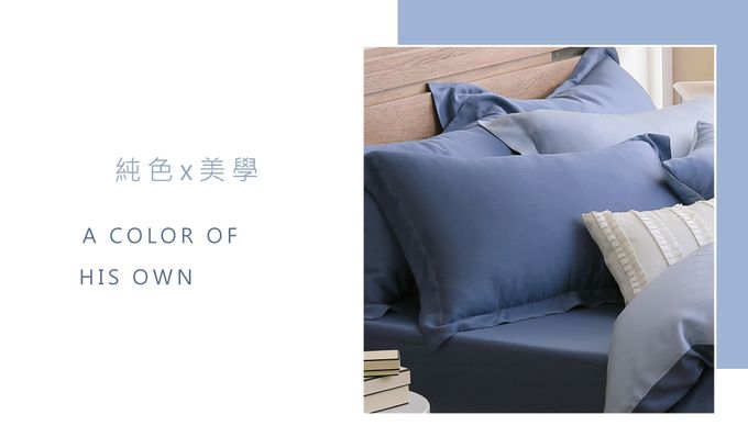 鴻宇 HongYew - 雙人兩用被套/ 天絲300織 / 素色 天絲 萊賽爾-波納藍
