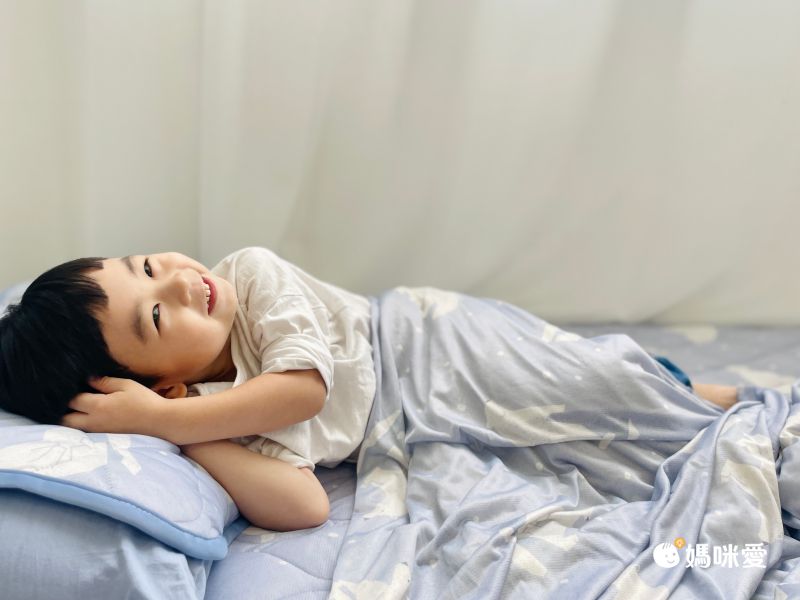 日本小泉 - 節電對策冷感薄毯-北歐花草-薄荷 (100x140cm)