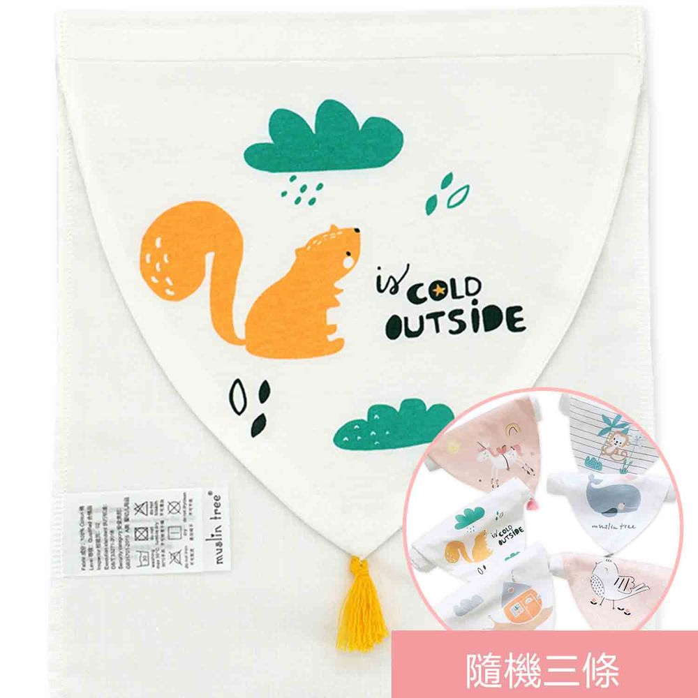 荷蘭 Muslintree - 春夏寶寶吸汗墊背巾-4條入-快樂松鼠+隨機3條