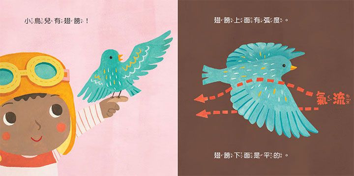 幼兒的第一套Baby STEAM(4書+1手冊)