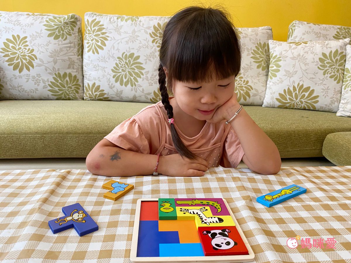双美生活文創 - 5Q百變益智拼板：動物方塊-內附1組木製動物方塊+130題圍捕遊戲