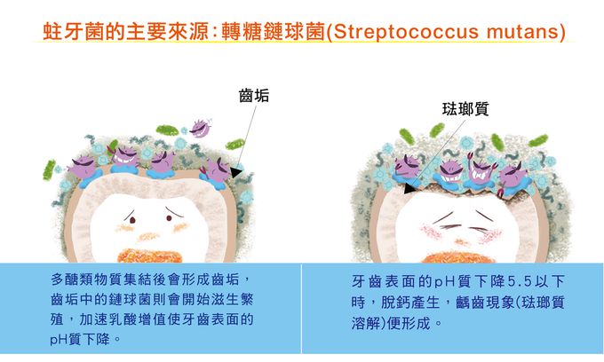 SNOW 雪印 - 【日本原裝】口中清涼糖錠(藍莓味)-60顆/包