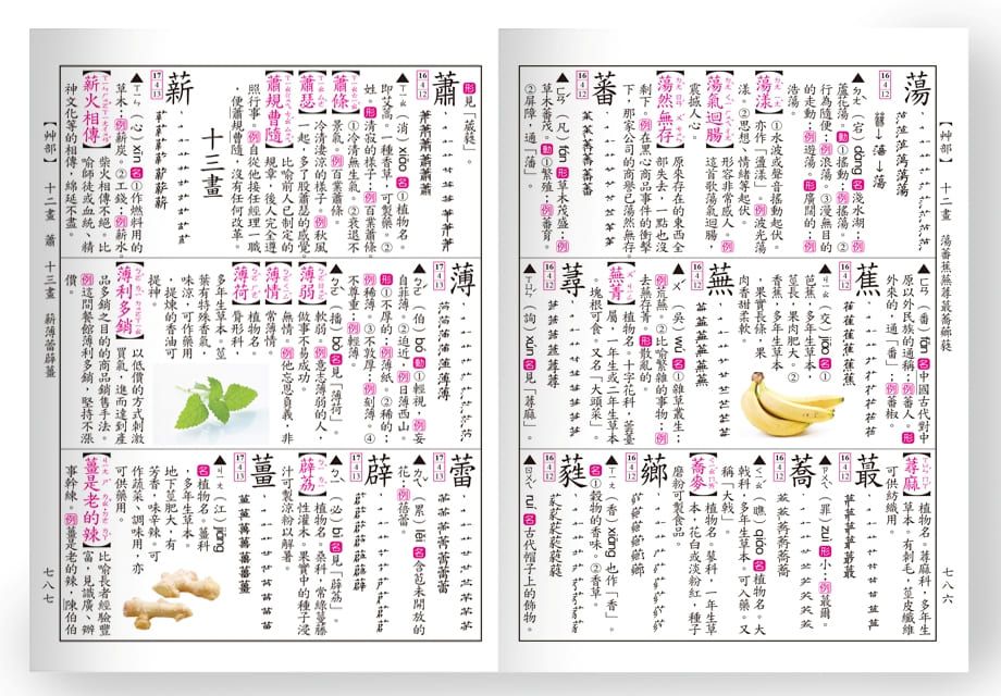 (50K)大耳狗喜拿彩色新編辭典