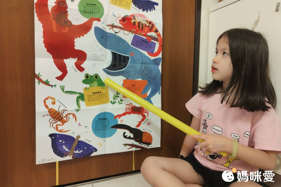 小小知識家的百科書套書10冊(書盒版)