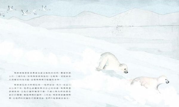 北極熊-精裝
