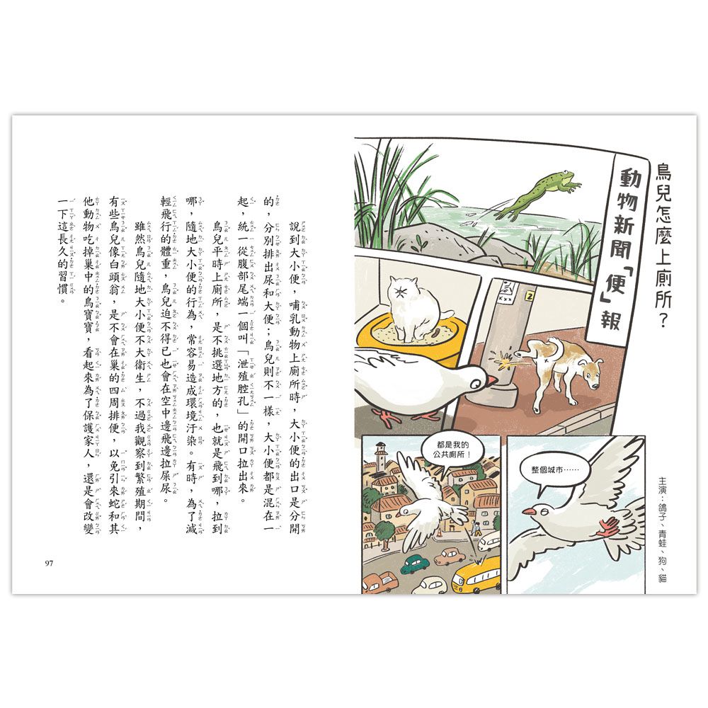 就愛鳥事一籮筐：鳥兒趣問妙答