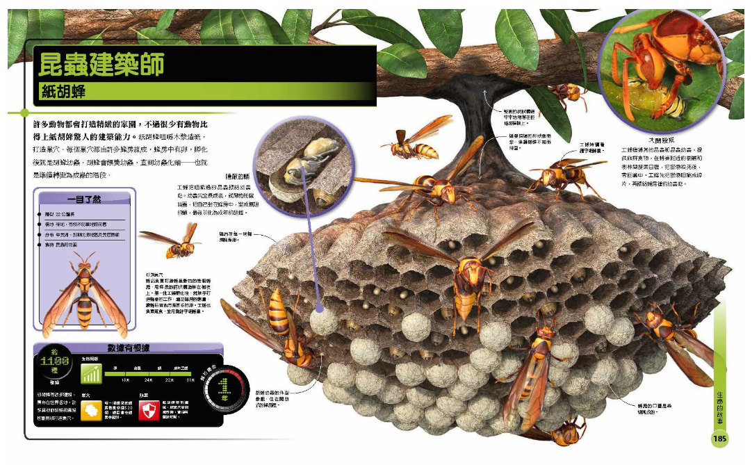 超能力昆蟲百科：地球上最大、最快、最致命的昆蟲與節肢動物 (精裝 / 208頁 /全彩印刷)
