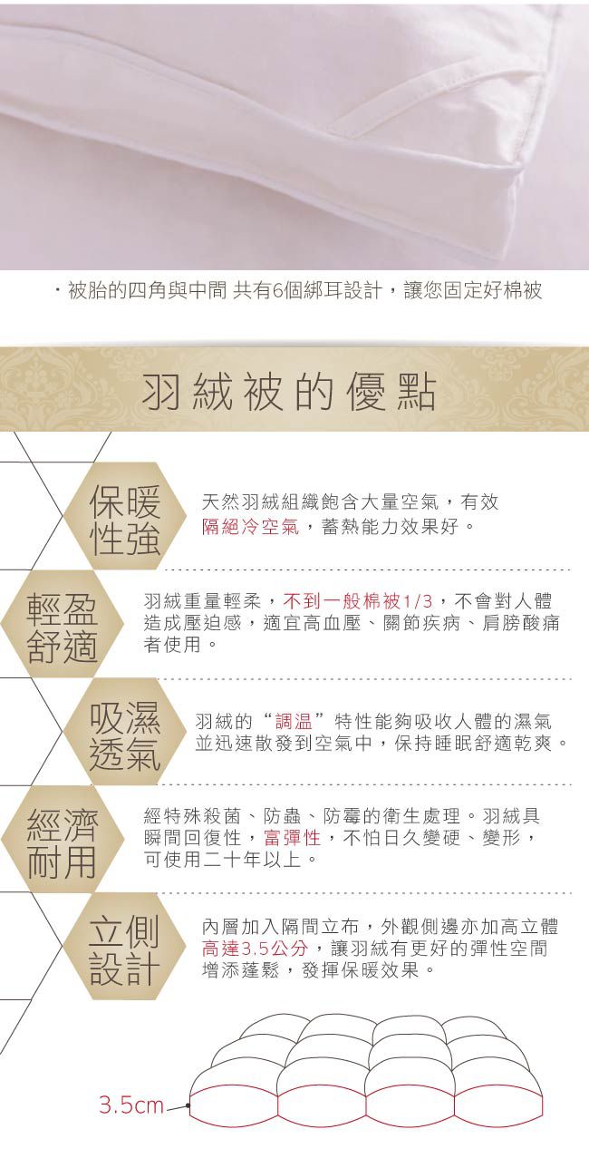 鴻宇 HongYew - 100%天然水鳥羽毛 愛情海羽絨被 冬被 美國棉-雙人6x7