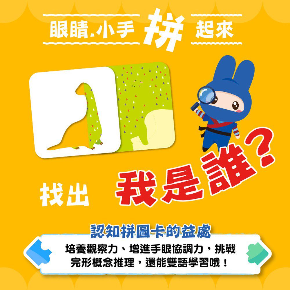 認知拼圖卡-恐龍點一點