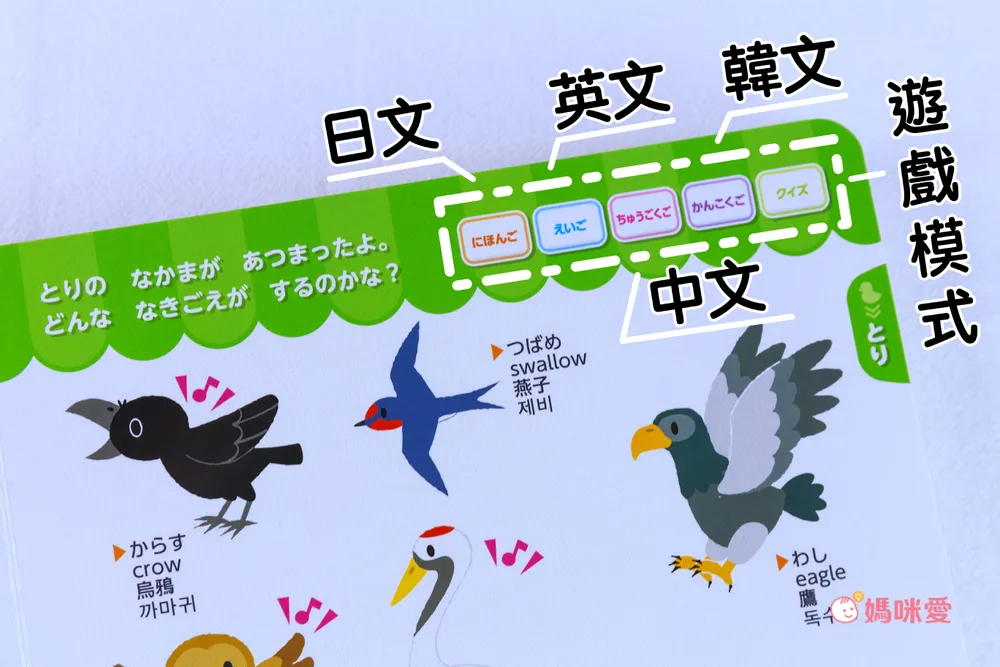 日本設計研發《KIDsREAD 四語圖解字典 》終於補貨！