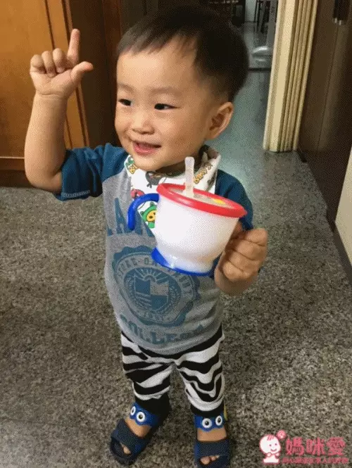 日本 Richell 利其爾第二代 LC 兒童雙握把吸管水杯、水杯組合