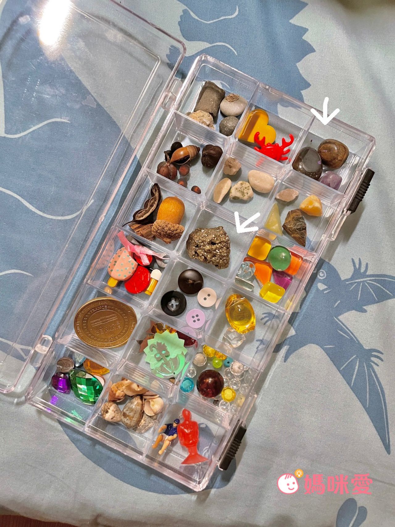 NATIONAL GEOGRAPHIC - 國家地理頻道 探秘鯊齒挖掘套組