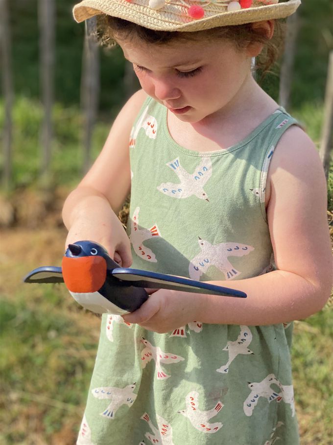 美國 Tender Leaf - 迅捷海燕飛行員