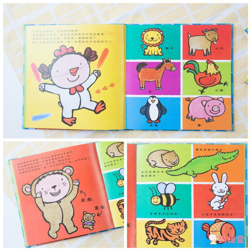 【生活自理】把飯吃光光＋刷牙小小兵＋五感套書＋字母積木書