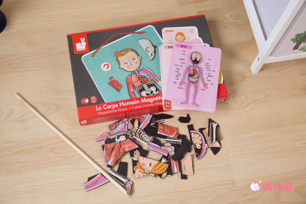法國Janod - 【熱賣】磁鐵遊戲書-我的身體