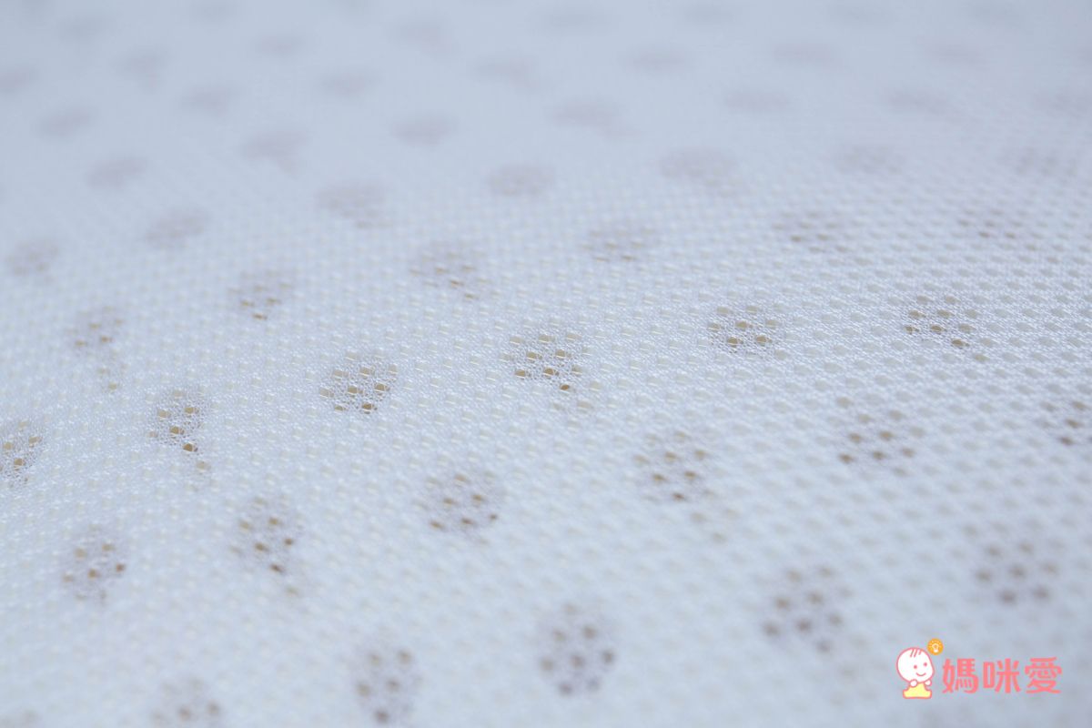 鴻宇 HongYew - 防螨抗菌100%美國棉兒童標準型天然乳膠枕-恐龍公園-1896-藍