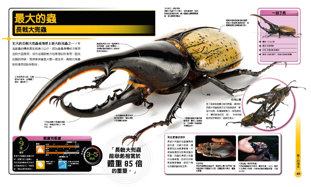 超能力昆蟲百科：地球上最大、最快、最致命的昆蟲與節肢動物 (精裝 / 208頁 /全彩印刷)