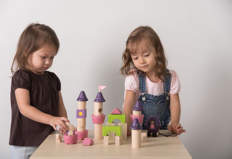 泰國 Plantoys - 夢幻童話木質積木組