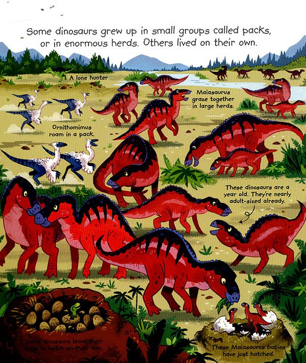 Kidschool - My Very First Dinosaurs Book 我的第一本認識恐龍書