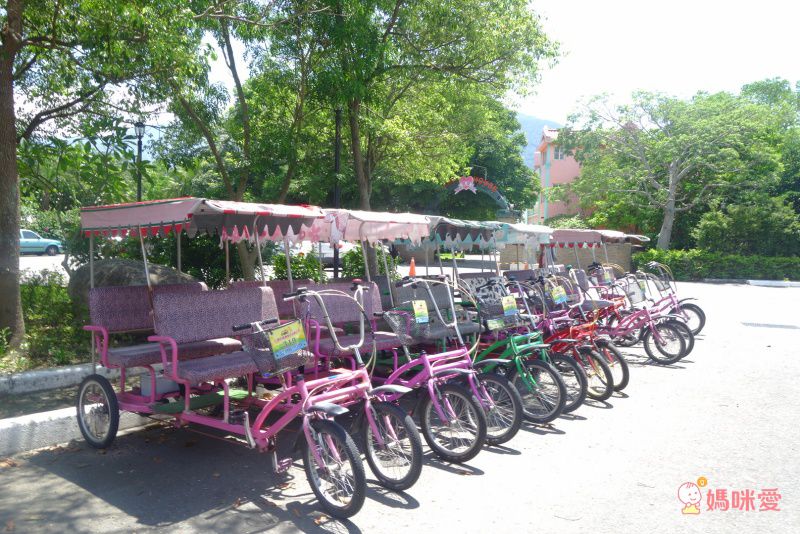 台東池上日暉國際渡假村｜頂級 Airstream 露營車