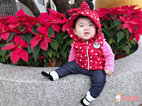 美國TRUMPETTE 造型假鞋襪