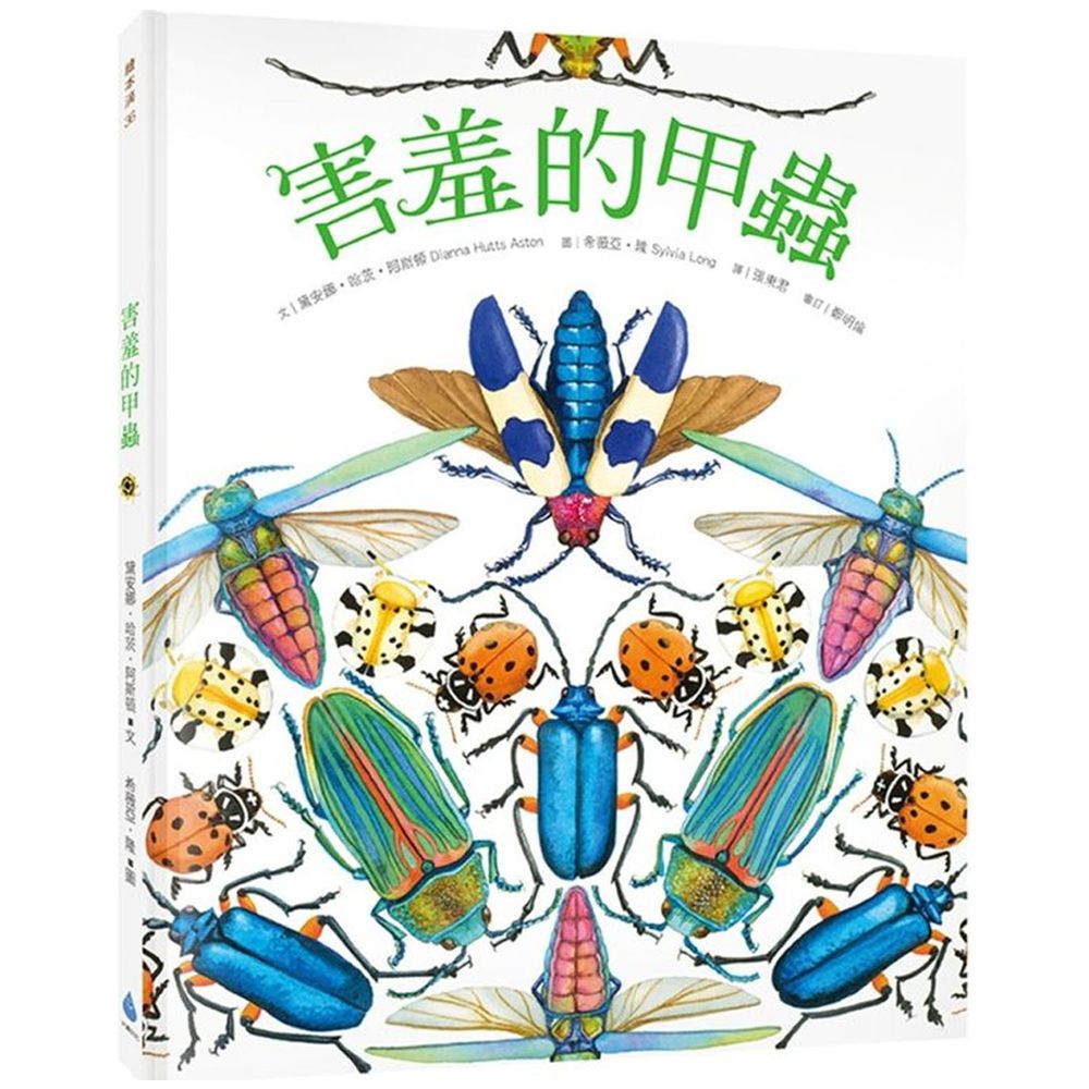害羞的甲蟲