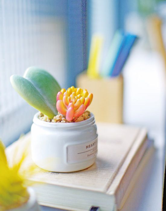 日本 KISHIMA - CT觸媒 消臭仿真多肉盆栽迷你三入組-KH-61190