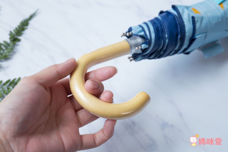 日本 kukka hippo - 兒童單片透明直傘-恐龍世界