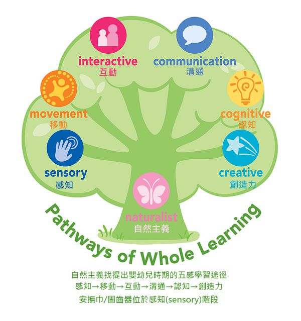 美國 green sprouts - 小綠芽植物性製成玩具堆疊杯6入組-圓杯款