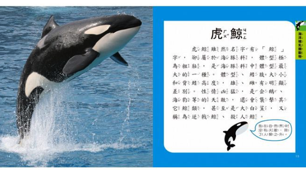 我的第一本海洋博士小百科NEW-1本小百科+12款海洋學習模型及4個珊瑚配件+收納袋