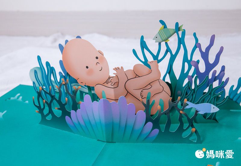 你在媽媽肚子裡的樣子―1：1真實比例小寶寶立體書（立體封面典藏版）