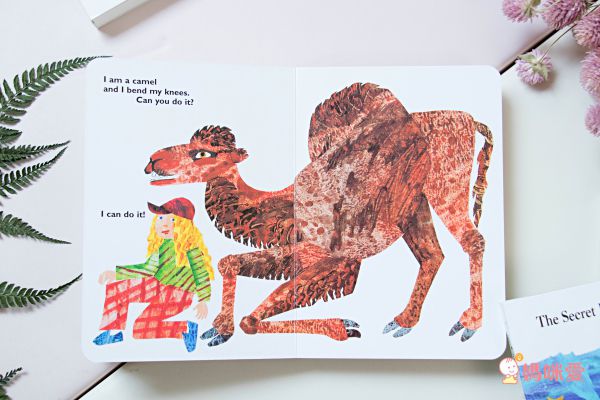 全球知名童書大師艾瑞卡爾Eric Carle ★英文認知硬頁書★ 一歲就能入手～給幼兒最棒的英文學習禮物！