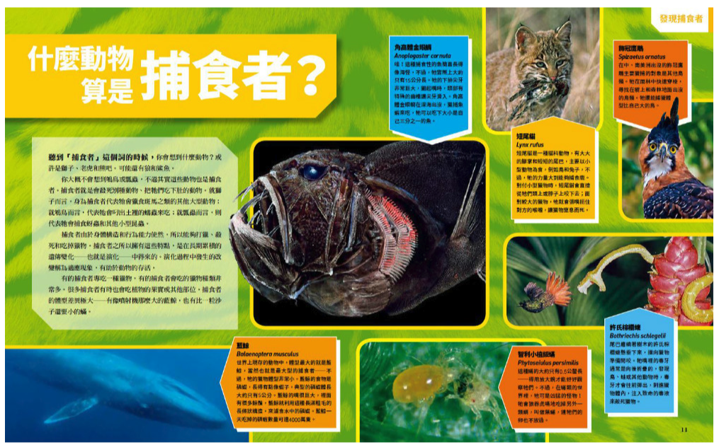 國家地理終極捕食動物百科：有史以來最完整的世界捕食動物大全 (精裝 / 272頁/全彩印刷)
