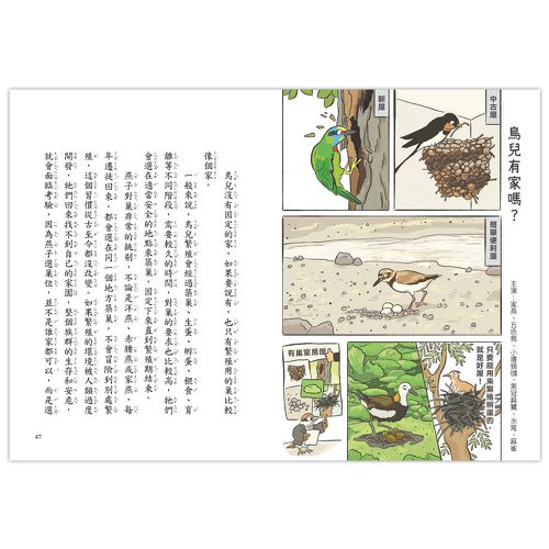 就愛鳥事一籮筐：鳥兒趣問妙答