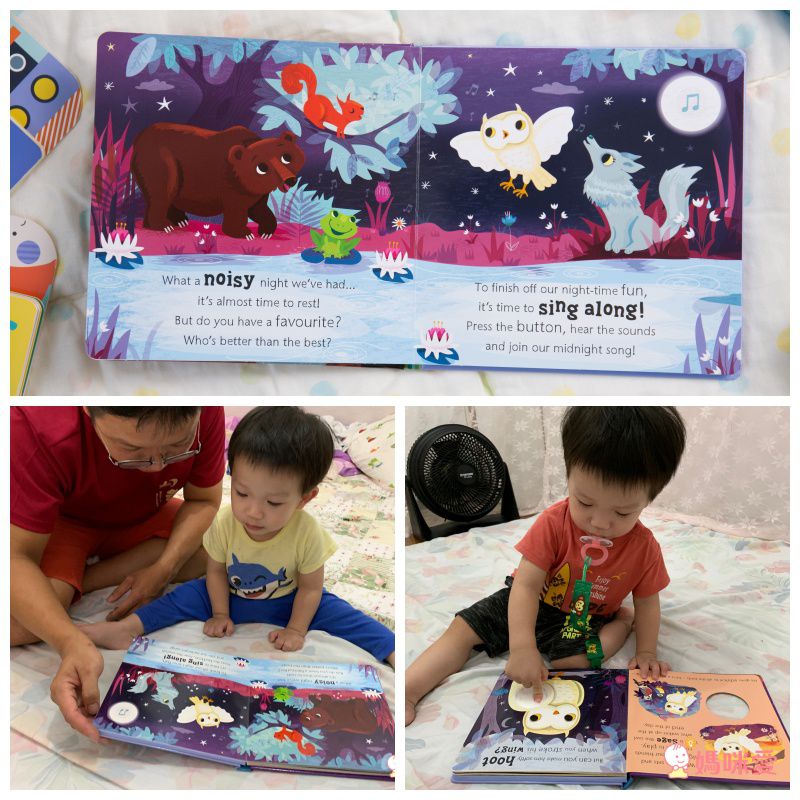 Owl says Hoot-Noisy Touch and Feel 熱鬧的森林夜晚 (觸摸音效書)