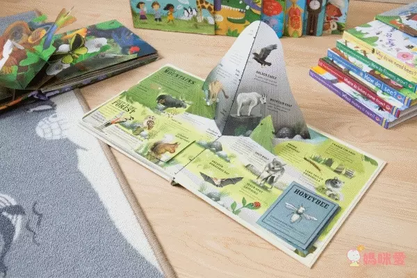 英國暢銷出版社Usborne♕Q&A知識百科翻翻書 / 英語擦寫學習書 / 立體有聲書