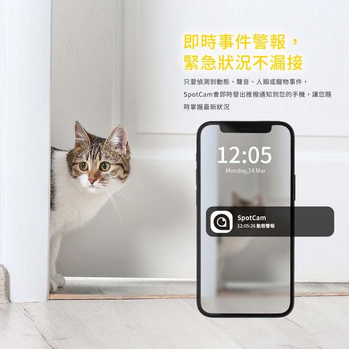 Mibo + 一年期AI毛孩照護組
