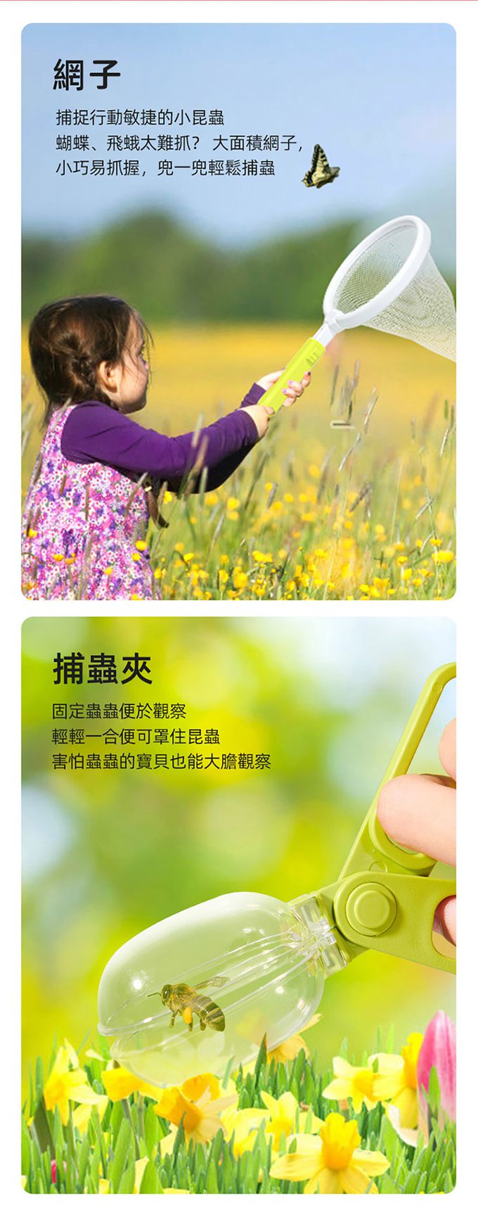 MiDeer - 多功能生態觀察箱套組