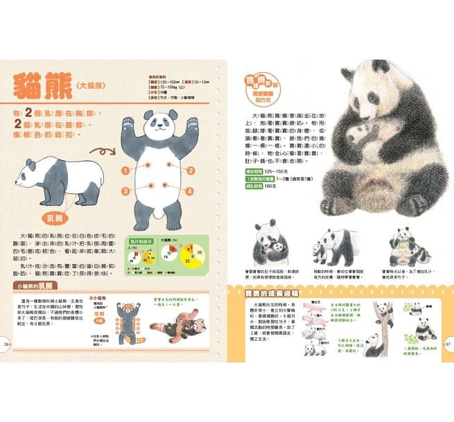 動物媽媽的乳房：動物比較圖鑑-精裝