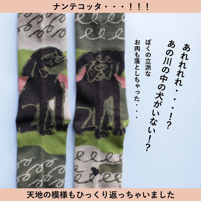 日本女裝代購 - 日本製 伊索寓言印花長襪-貪心的狗-灰x綠 (23-25cm)