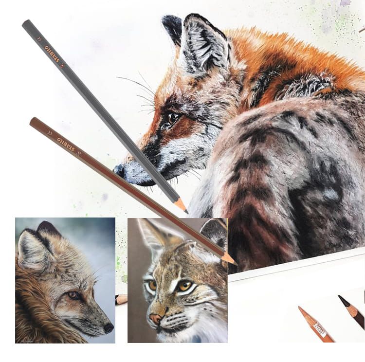 STABILO思筆樂 - Swans油性色鉛筆 24色