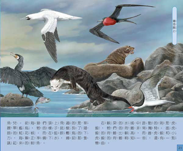 音效書新品上市♔孩子的第一本古典音樂啟蒙 ♫