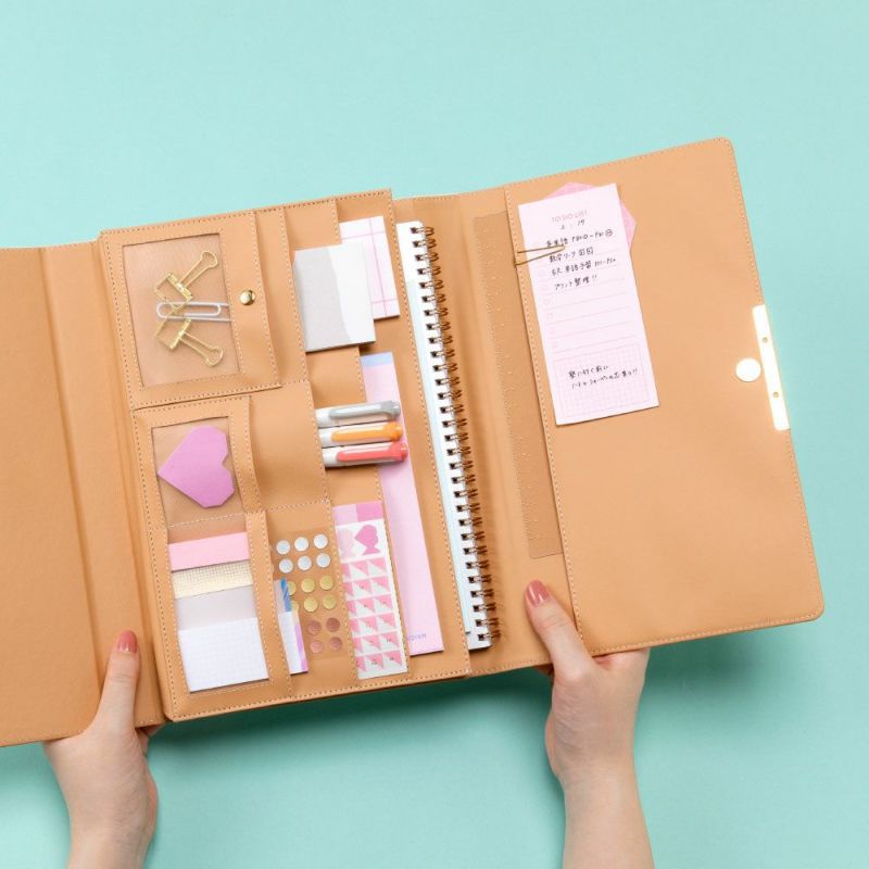 日本 IROHA - 專注力up！磁吸可立式學習工具整理收納包-桃粉x杏 (21x29x3cm)