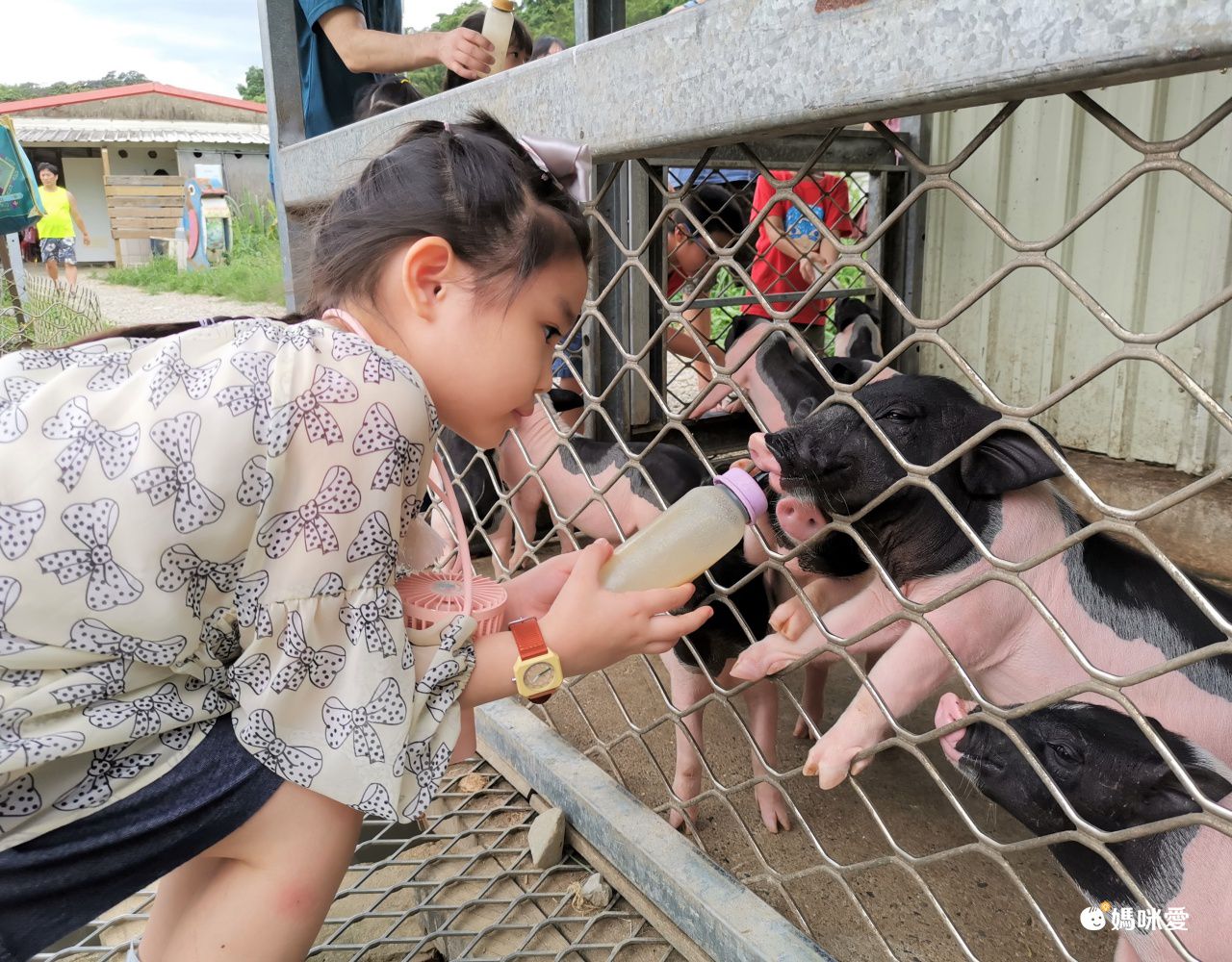 西班牙mini kyomo - 兒童手錶-Sunburn白