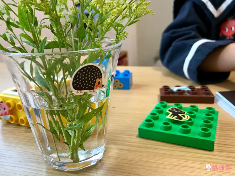 北歐最強育兒術 ♕【瑞典 OMM Design】童趣桌遊增進親子互動、啟蒙智力發展♡