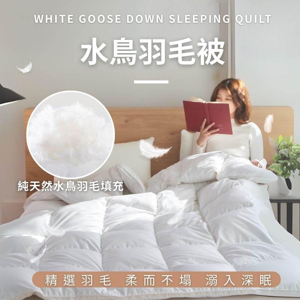 MIT100%天然水鳥羽毛被