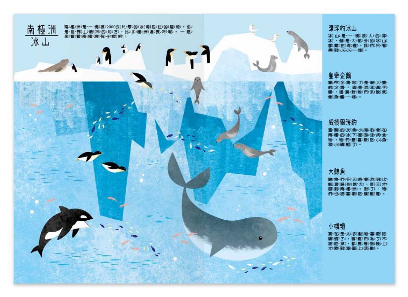 地上下的立體世界-奇妙的大自然