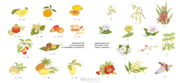 食農教育小田園繪本套書（蔬菜是怎麼長大的呀？ + 水果是怎麼長出來的呢？）